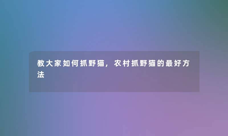 教大家如何抓野猫,农村抓野猫的好方法