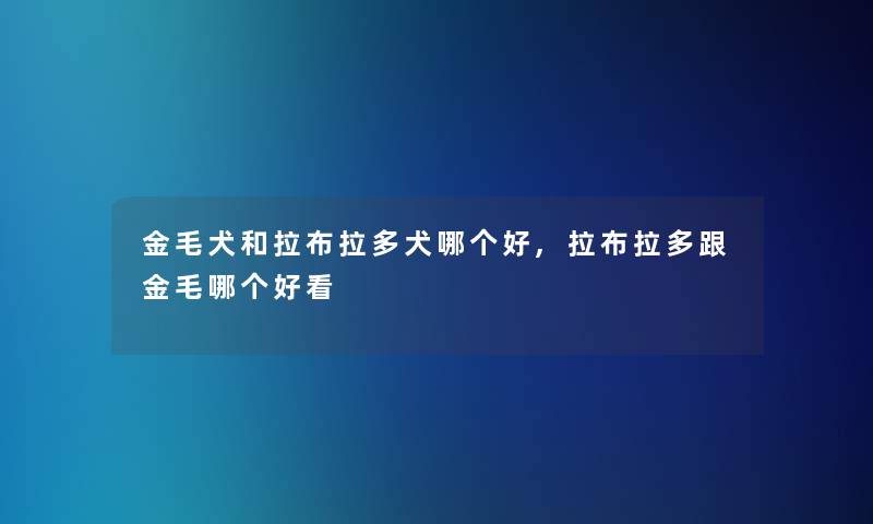 金毛犬和拉布拉多犬哪个好,拉布拉多跟金毛哪个好看