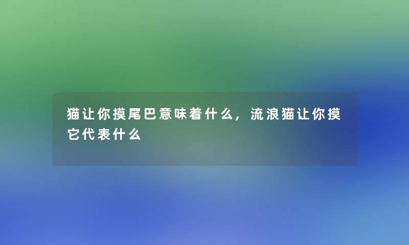 猫让你摸尾巴意味着什么,流浪猫让你摸它代表什么