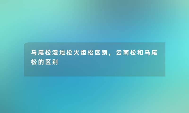 马尾松湿地松火炬松区别,云南松和马尾松的区别