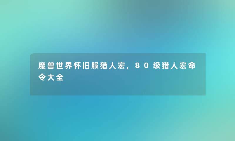 魔兽世界怀旧服猎人宏,80级猎人宏命令大全