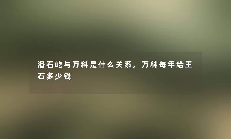 潘石屹与万科是什么关系,万科每年给王石多少钱