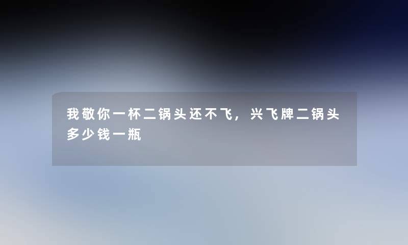 我敬你一杯二锅头还不飞,兴飞牌二锅头多少钱一瓶