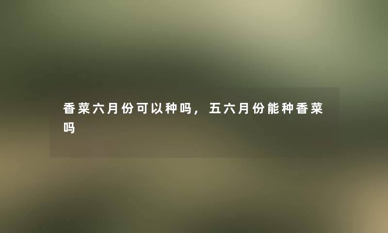 香菜六月份可以种吗,五六月份能种香菜吗