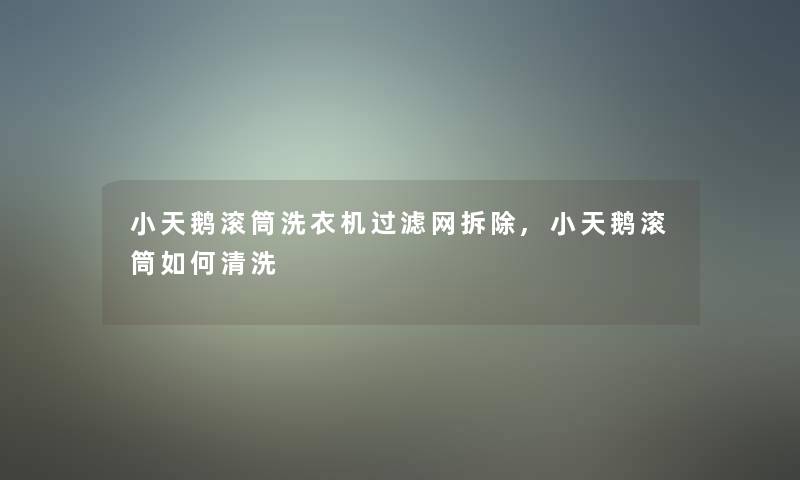 小天鹅滚筒洗衣机过滤网拆除,小天鹅滚筒如何清洗