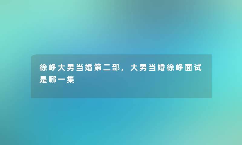 徐峥大男当婚第二部,大男当婚徐峥面试是哪一集