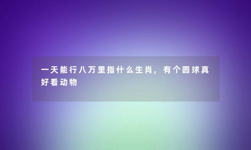 一天能行八万里指什么生肖,有个圆球真好看动物