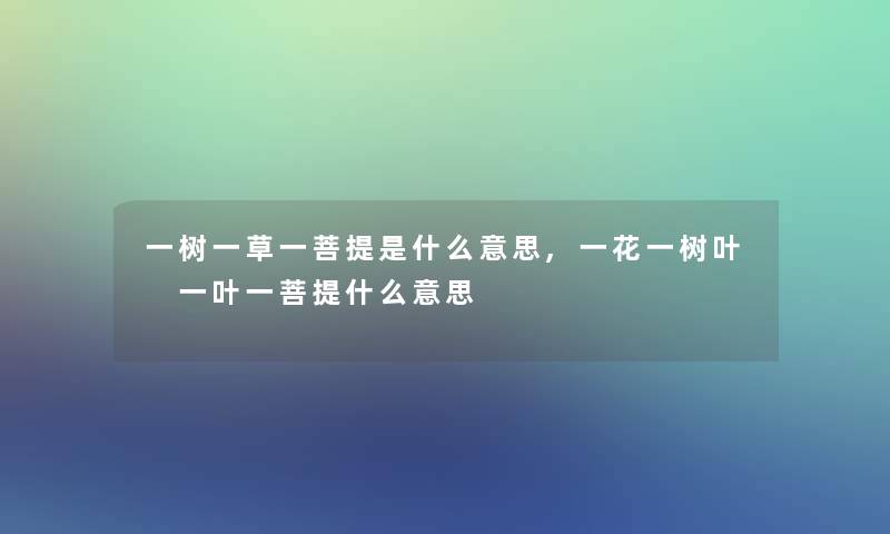 一树一草一菩提是什么意思,一花一树叶 一叶一菩提什么意思