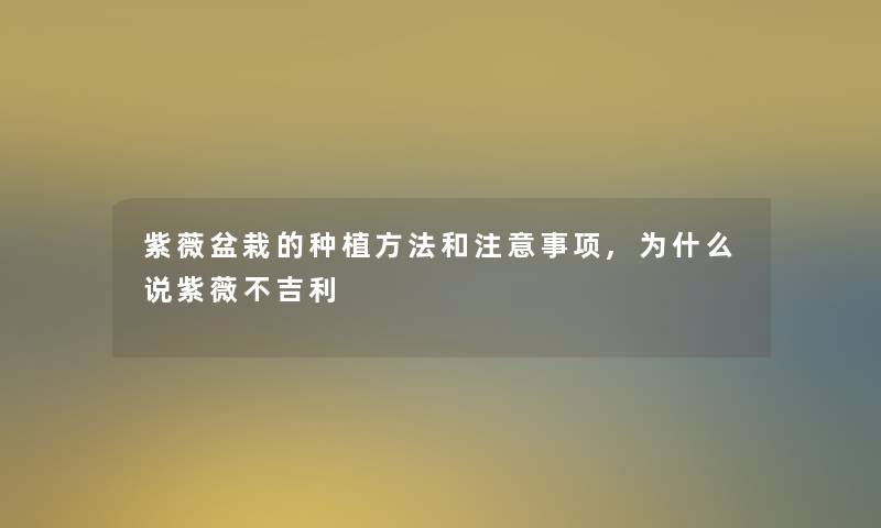 紫薇盆栽的种植方法和注意事项,为什么说紫薇不吉利