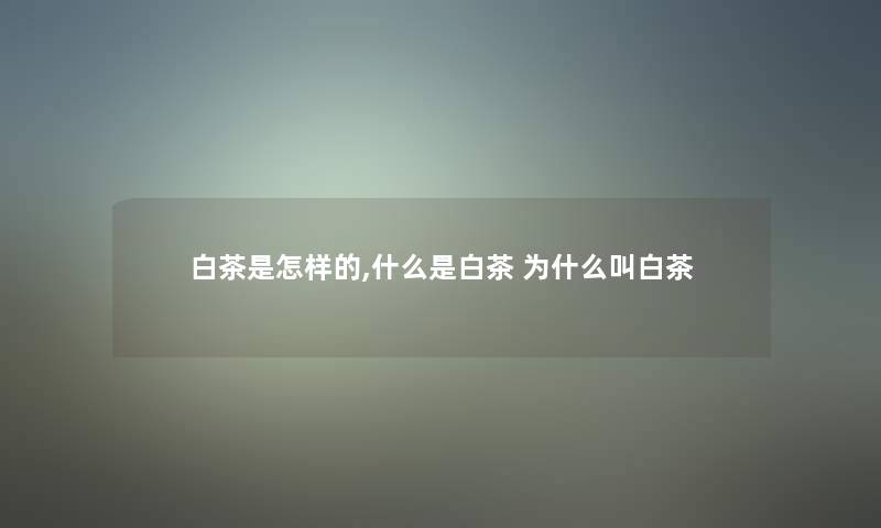 白茶是怎样的,什么是白茶 为什么叫白茶