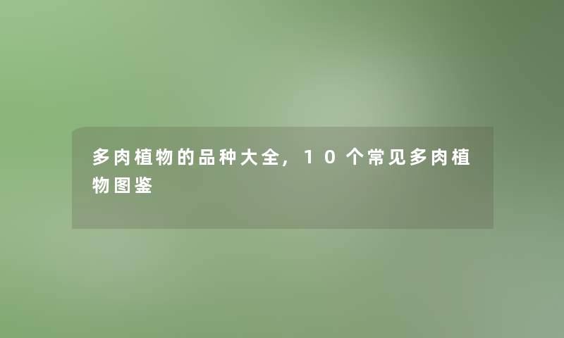 多肉植物的品种大全,10个常见多肉植物讲解