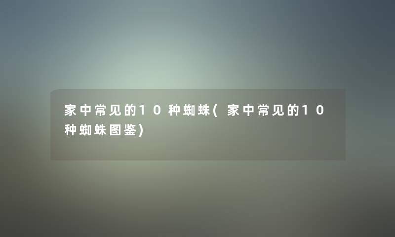 家中常见的10种蜘蛛(家中常见的10种蜘蛛讲解)