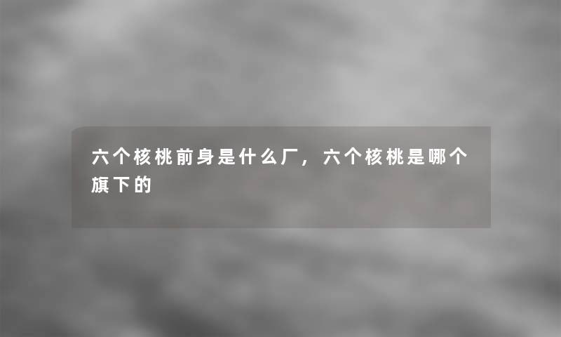 六个核桃前身是什么厂,六个核桃是哪个旗下的