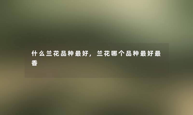 什么兰花品种好,兰花哪个品种好香