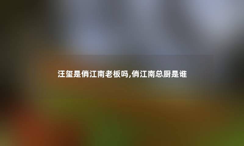 汪玺是俏江南老板吗,俏江南总厨是谁