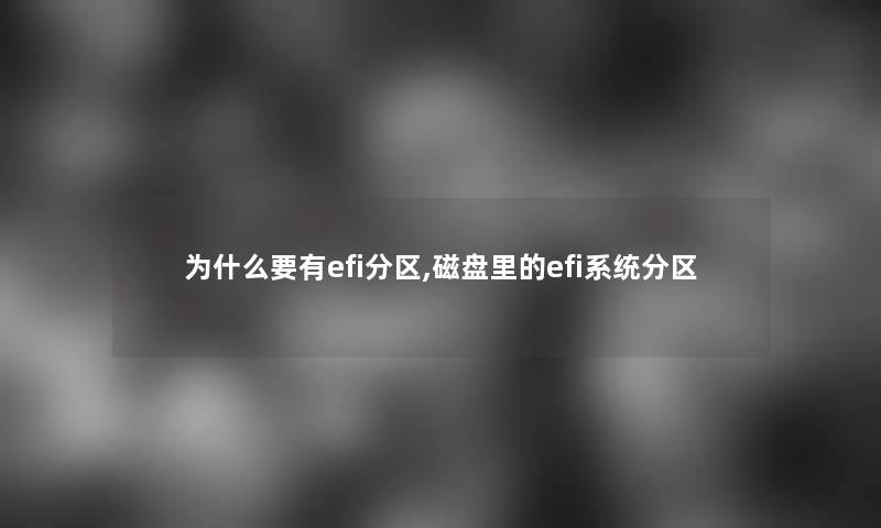 为什么要有efi分区,磁盘里的efi系统分区