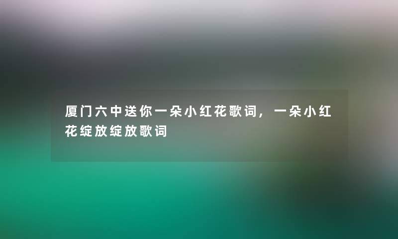 厦门六中送你一朵小红花歌词,一朵小红花绽放绽放歌词