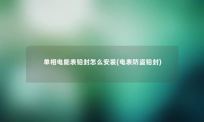 单相电能表铅封怎么安装(电表防盗铅封)