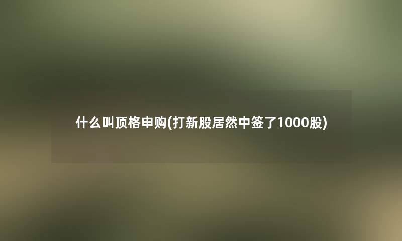 什么叫顶格申购(打新股居然中签了1000股)