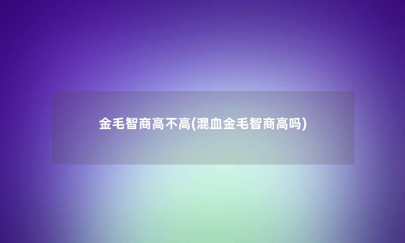 金毛智商高不高(混血金毛智商高吗)