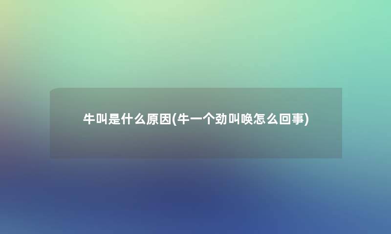 牛叫是什么原因(牛一个劲叫唤怎么回事)